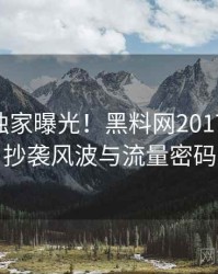 0418. 独家曝光！黑料网2017年12月抄袭风波与流量密码
