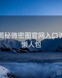 老玩家揭秘微密圈官网入口流程复盘懒人包