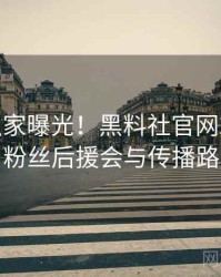 0347. 独家曝光！黑料社官网2019年8月粉丝后援会与传播路径