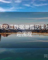 每日大赛吃瓜数据泄露因果梳理，欢迎围观