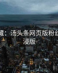 粉丝必藏：汤头条网页版粉丝狂欢沉浸版