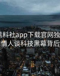 0291. 黑料社app下载官网独家专访：吴知情人谈科技黑幕背后故事