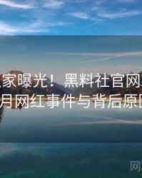 0774. 独家曝光！黑料社官网2022年12月网红事件与背后原因