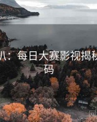 独家深扒：每日大赛影视揭秘流量密码