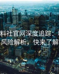 0809. 黑料社官网深度追踪：粉丝大战风险解析，快来了解