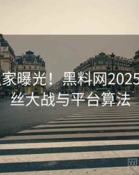 0858. 独家曝光！黑料网2025年8月粉丝大战与平台算法