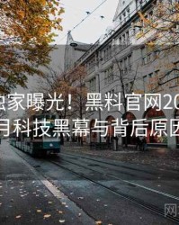 0770. 独家曝光！黑料官网2024年12月科技黑幕与背后原因