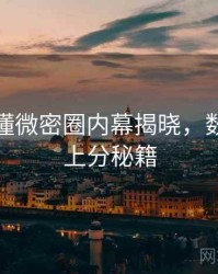 一文读懂微密圈内幕揭晓，数据解码上分秘籍