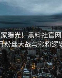 0725. 独家曝光！黑料社官网2019年2月粉丝大战与涨粉逻辑