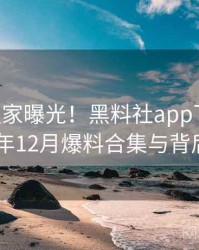 0152. 独家曝光！黑料社app下载官网2022年12月爆料合集与背后原因