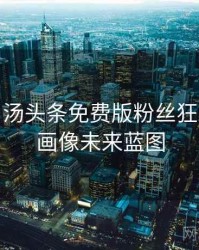 2022-11 汤头条免费版粉丝狂欢：用户画像未来蓝图