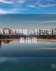 每日大赛焦点明星八卦因果梳理，必看指南