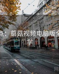 上手要点：蘑菇视频电脑版全流程教学