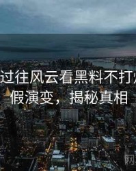 0266. 从过往风云看黑料不打烊财务造假演变，揭秘真相